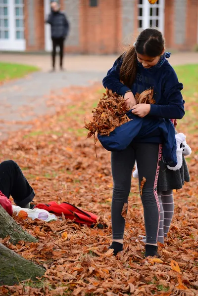 DSC_0477 (Large).JPG